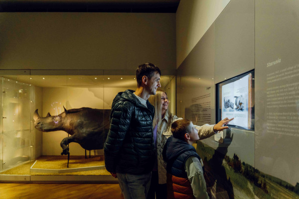 Технології, мінерали та мамонти: добірка цікавих музеїв для дітей у Львові - 10