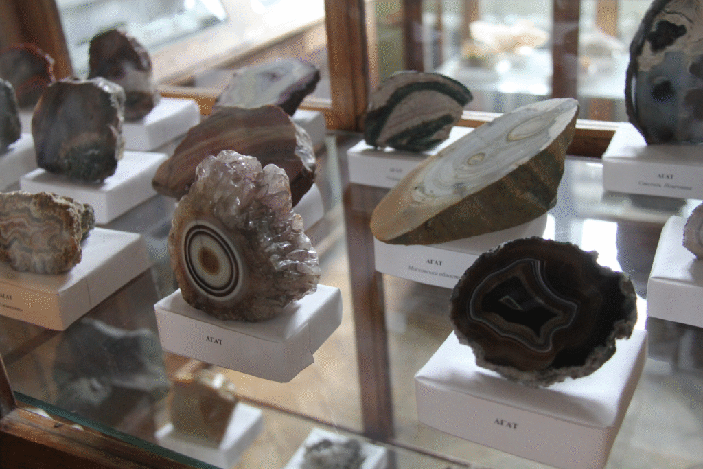 Технології, мінерали та мамонти: добірка цікавих музеїв для дітей у Львові - 5