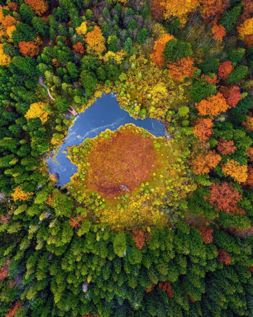 Куди поїхати на Львівщині: мистецькі парки, замки та озеро - 5