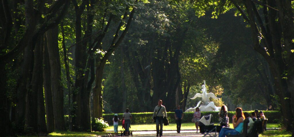 «Від доріжок до дитячих майданчиків»: що відремонтують у львівських парках цього року - 14