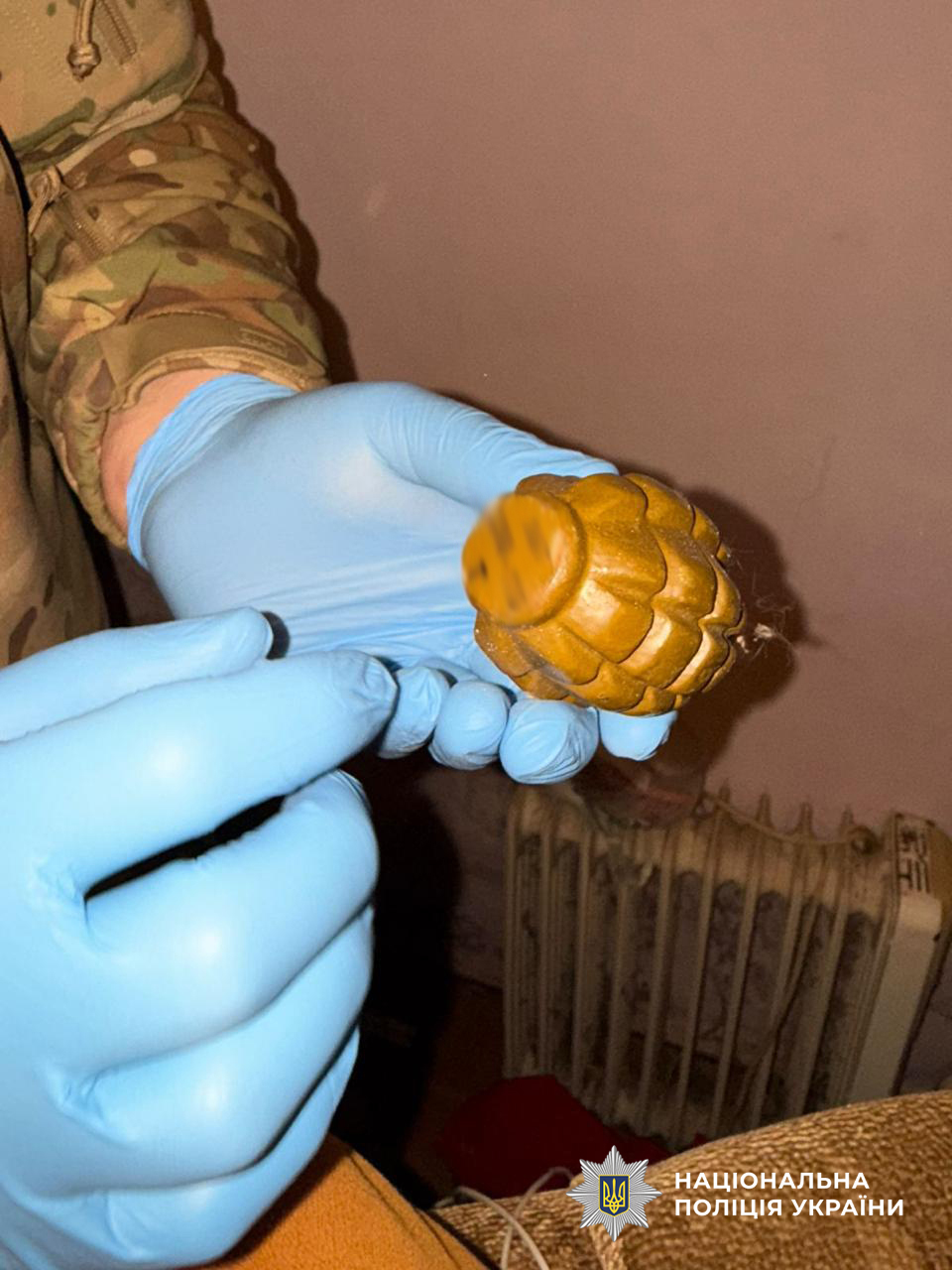 На Львівщині викрили двох чоловіків у незаконному поводженні зі зброєю та боєприпасами - 7