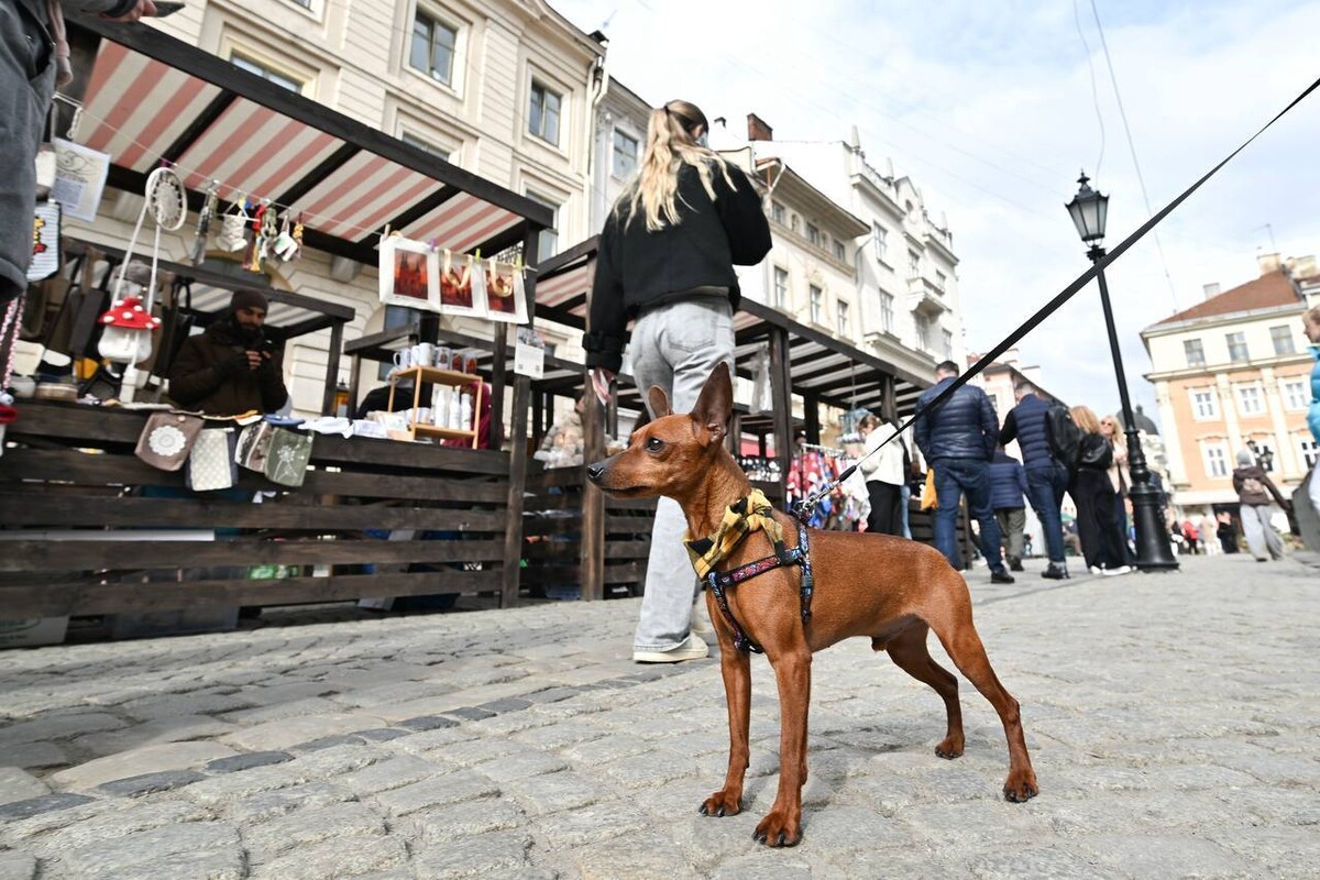 Ікони, шеврони, прикраси, делікатеси з м'яса: у Львові стартував Ветеранський ярмарок - 11