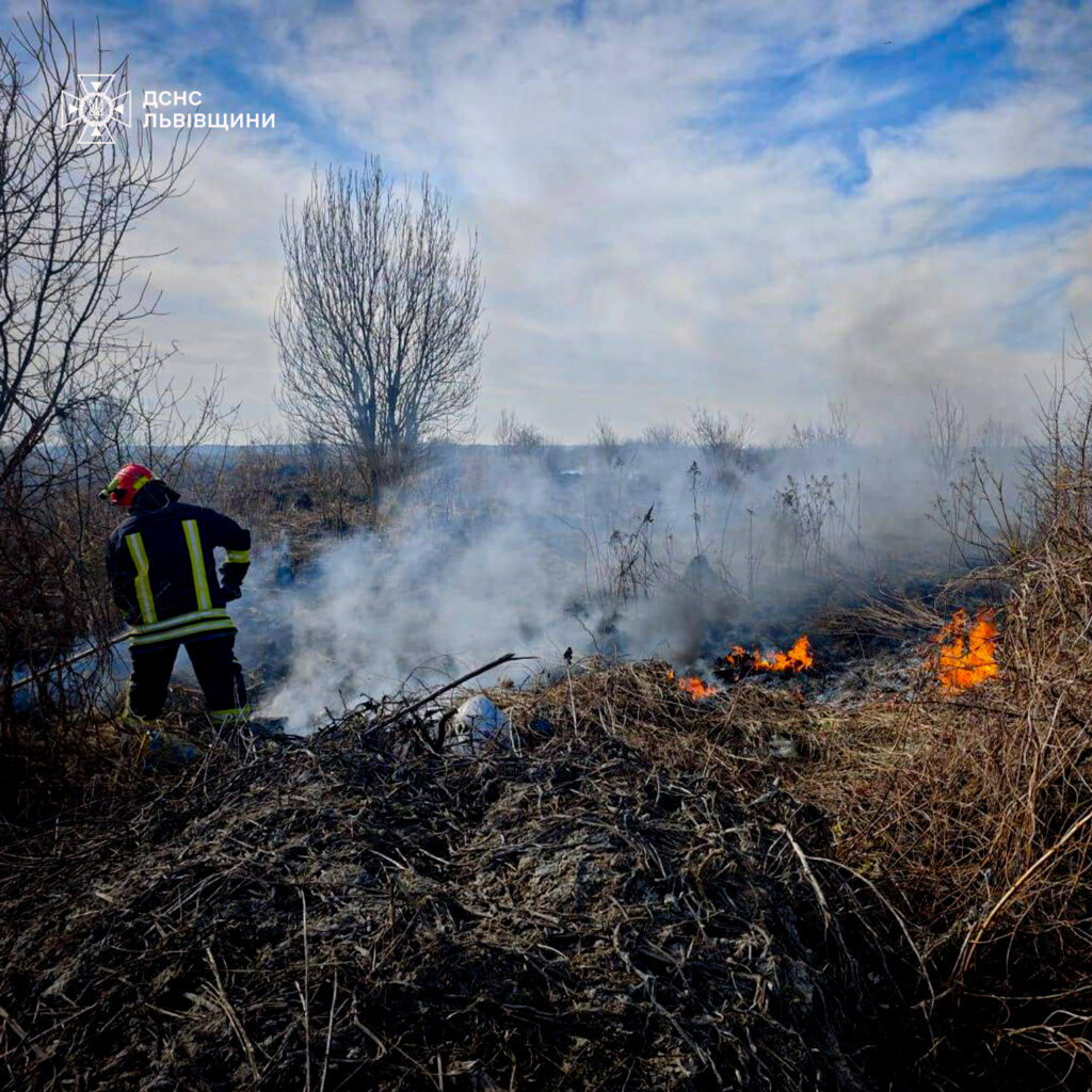 Львівщина: чому не можна спалювати сухостій та яка цьому є альтернатива - 1