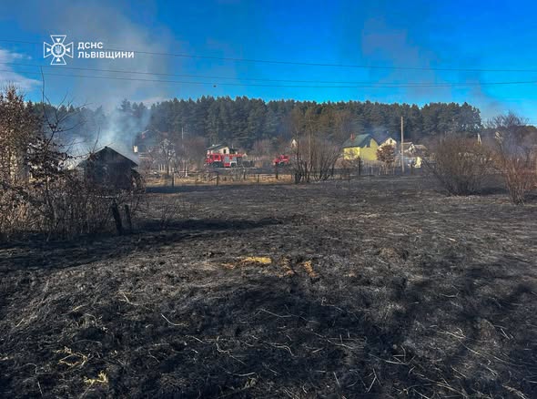 На Львівщині пожежа сухостою знищила дерев’яну будівлю та загрожувала житловим будинкам - 1