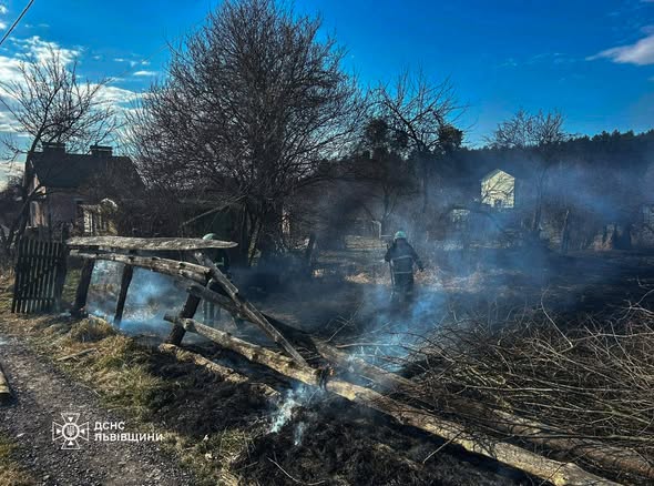 На Львівщині пожежа сухостою знищила дерев’яну будівлю та загрожувала житловим будинкам - 2