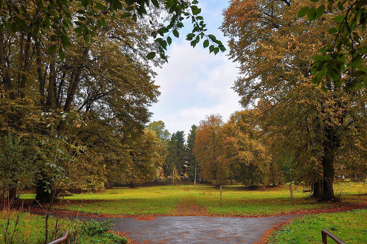 655423449_1260240842899921_7176821076698913471_n