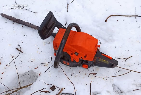 656950503_1357598273068454_8725411058948720940_n