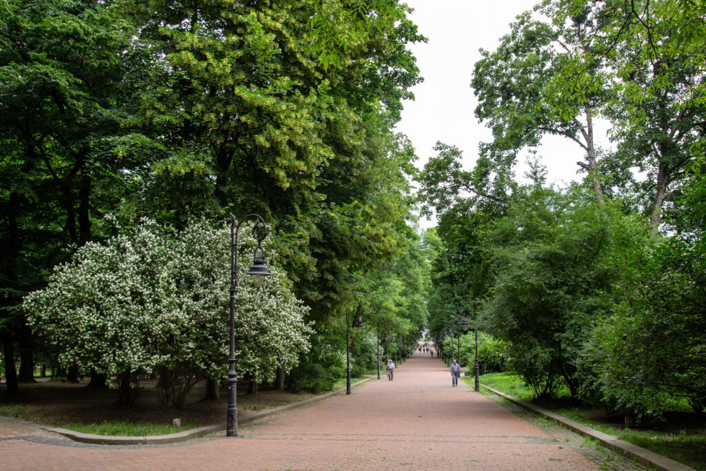 Де прогулятися у Львові: вибір редакції ІА Дивись.info - 4