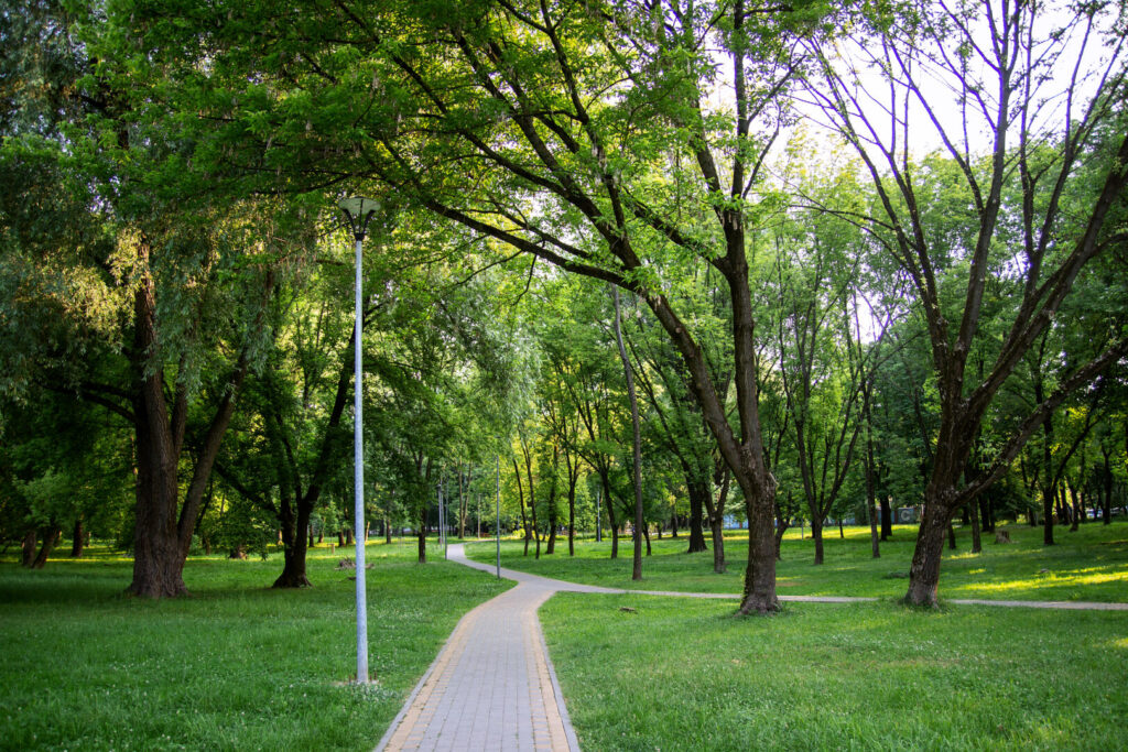 Де прогулятися у Львові: вибір редакції ІА Дивись.info - 2