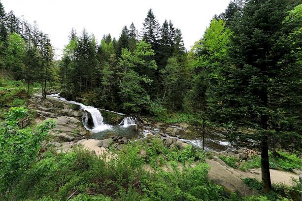 Куди поїхати на вихідні: четвірка національних природних парків на Львівщині - 1