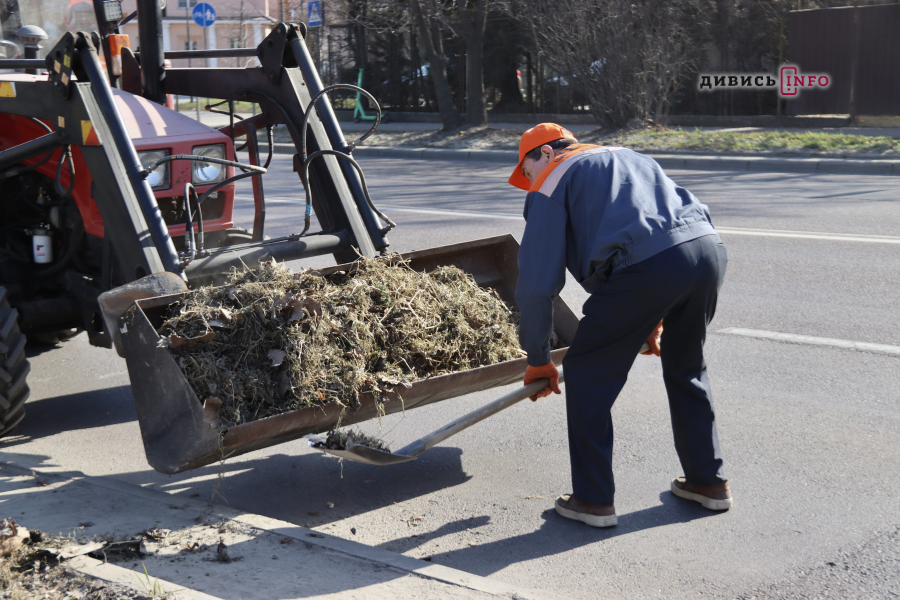 Як у Львові прибирають вулиці після зими (фото) - 19