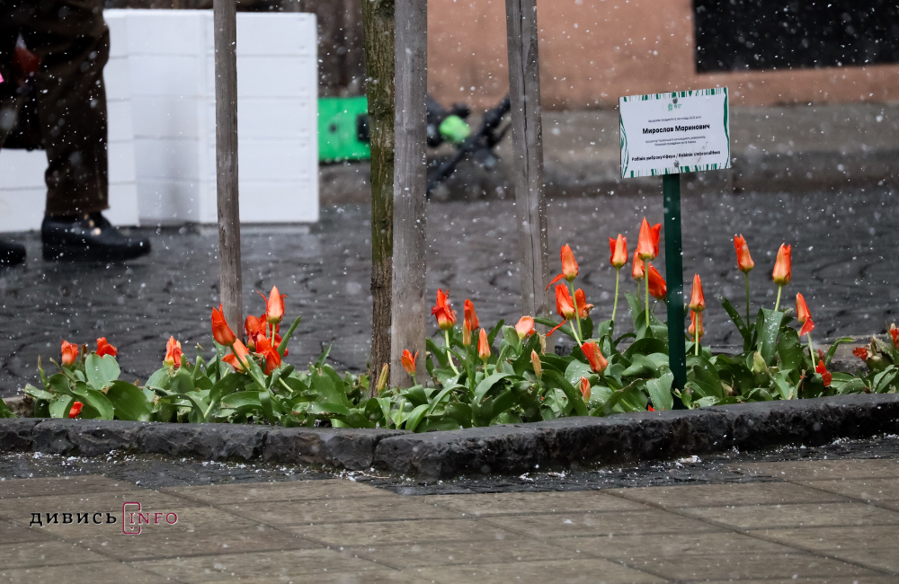 «Це не діагноз, а реакція організму», — львівська лікарка про метеочутливість та її протидію - 6