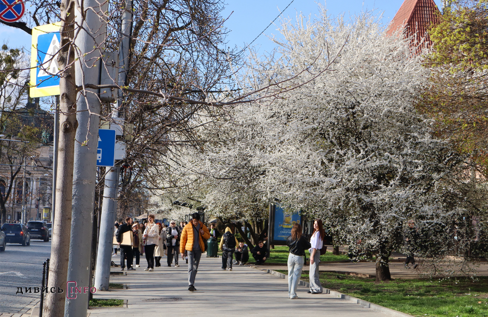 Чи очікувати похолодань та снігу на Львівщині — відповідь синоптикині - 1