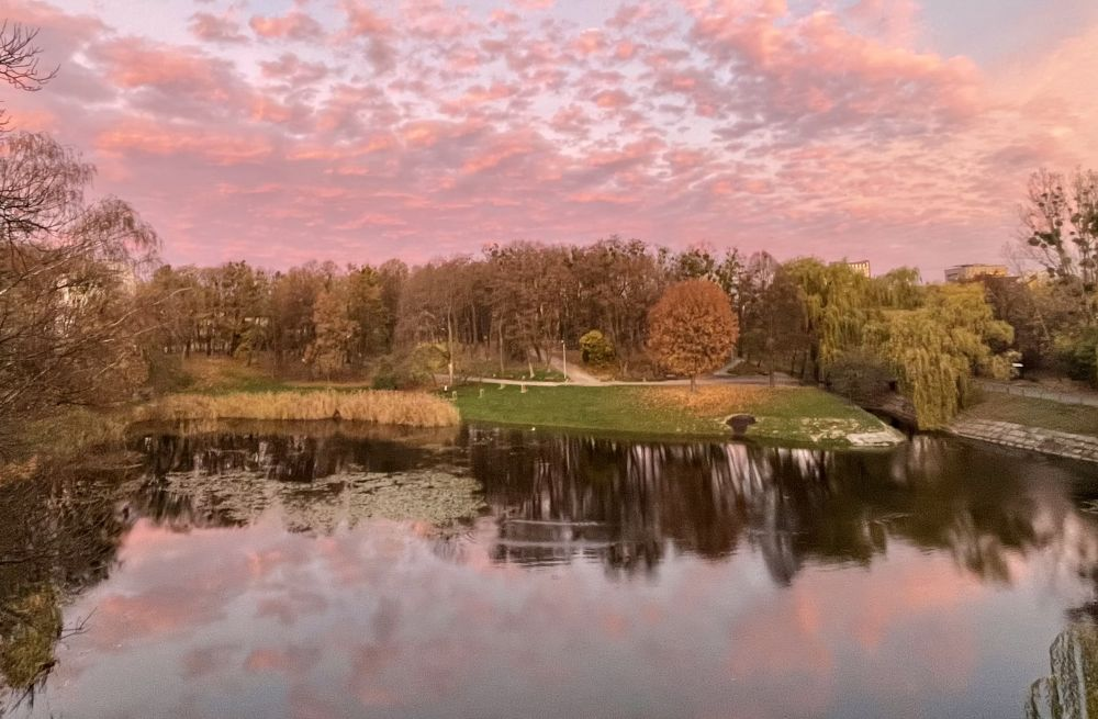 «Від доріжок до дитячих майданчиків»: що відремонтують у львівських парках цього року - 8