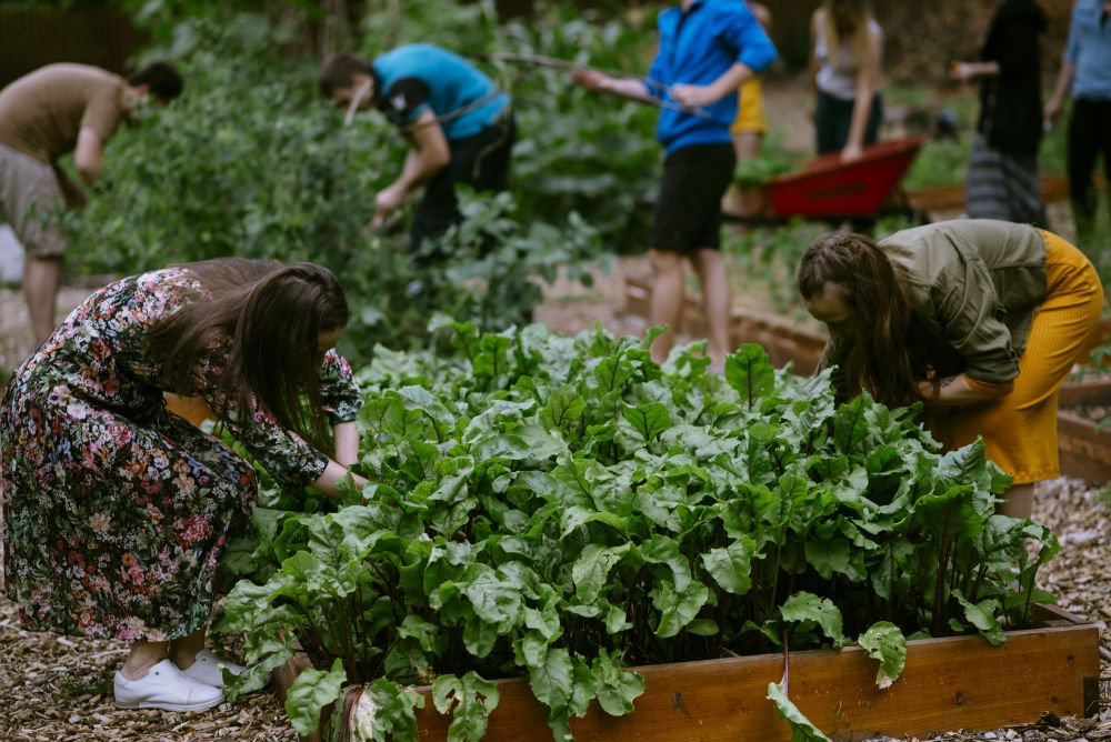 «Від доріжок до дитячих майданчиків»: що відремонтують у львівських парках цього року - 13