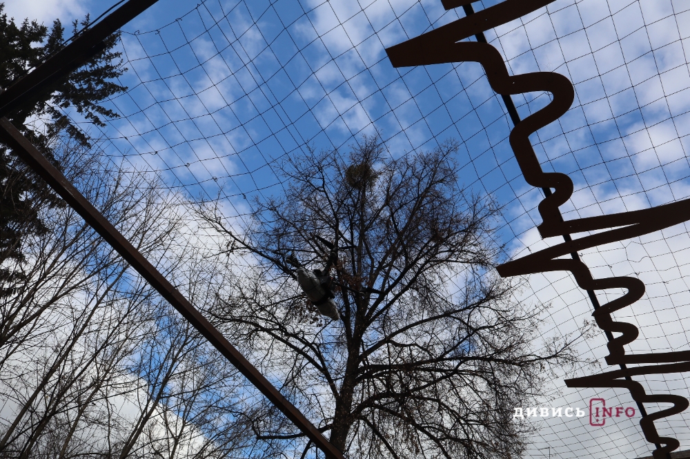 У Львові показали артінсталяцію «Дорога життя», присвячену військовим (фото) - 11