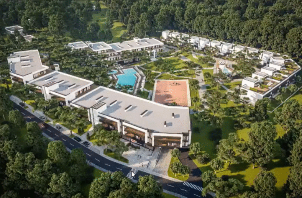 «Ми категорично проти будівництва»: що не так з вирубкою лісів у Брюховичах поблизу Львова - 7