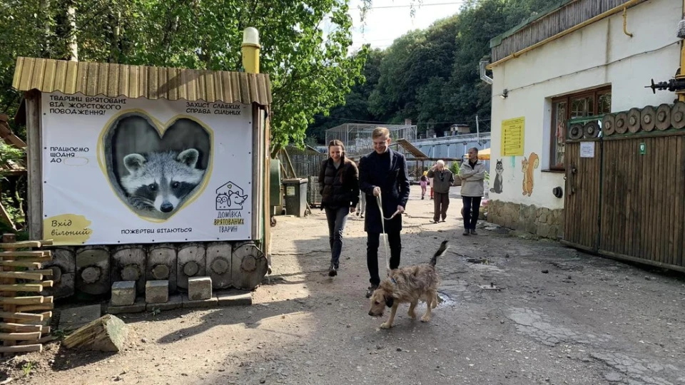 Де бракує рук: добірка волонтерських ініціатив у Львові - 3