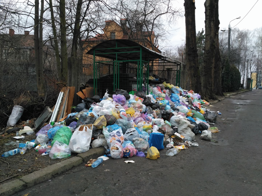 Від трагедії у Грибовичах до переробки відходів: чому Львів досі без сміттєпереробного заводу - 5