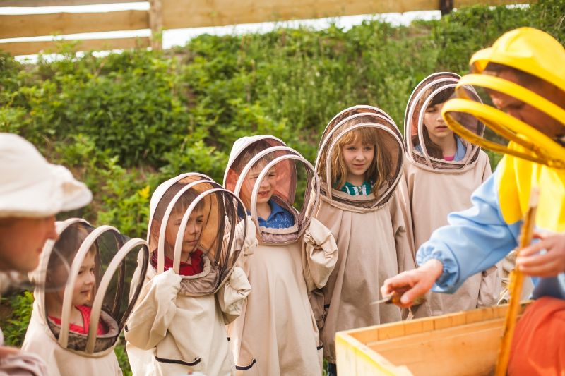 Смак Львівщини: продукцію яких локальних бізнесів варто спробувати - 4