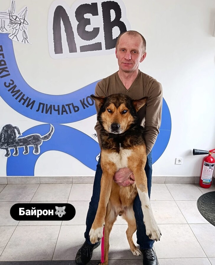 Понад 20 тварин із ЛКП «Лев» знайшли дім у лютому - 1