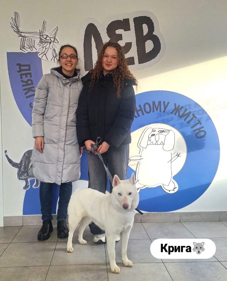 Понад 20 тварин із ЛКП «Лев» знайшли дім у лютому - 3