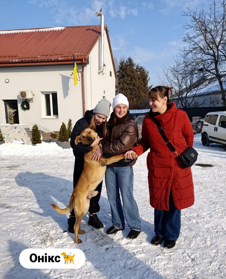 Понад 20 тварин із ЛКП «Лев» знайшли дім у лютому - 7