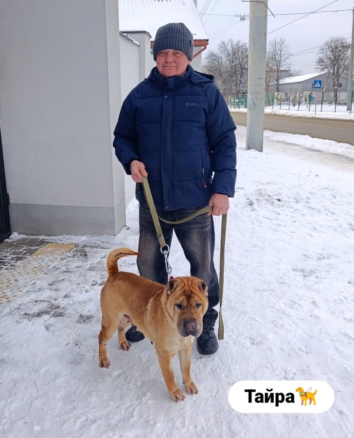 Понад 20 тварин із ЛКП «Лев» знайшли дім у лютому - 9