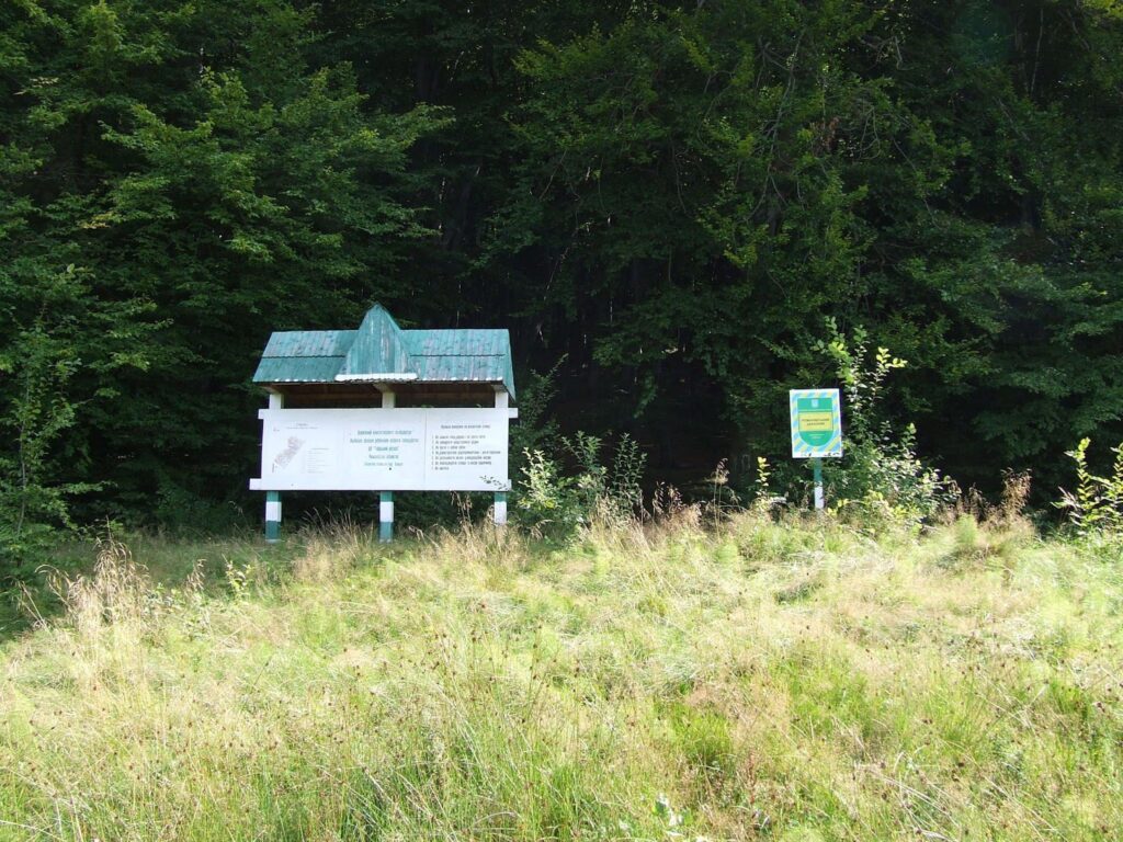 Куди поїхати на Львівщині: водоспади, гори та стародавні пам’ятки - 2