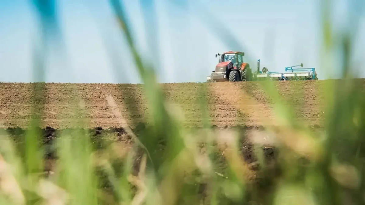 поле комбайн, посівна