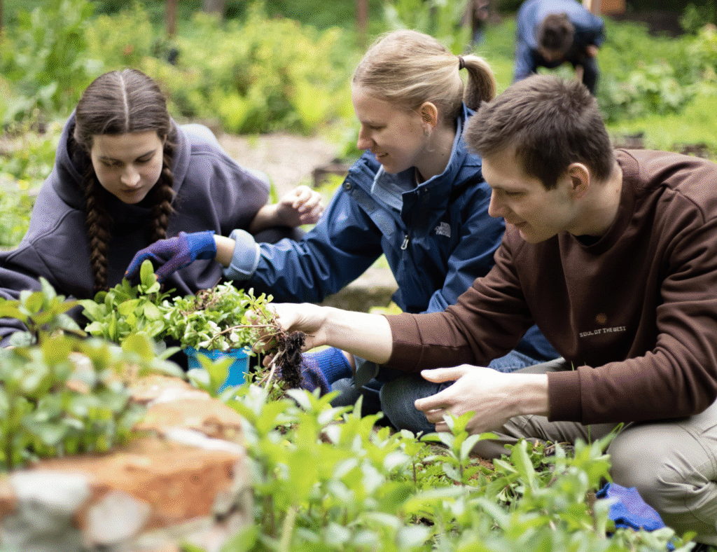 Продовження воєнного стану, рейтинг громад Львівщини, книга про облогу Маріуполя: головні новини дня - 7