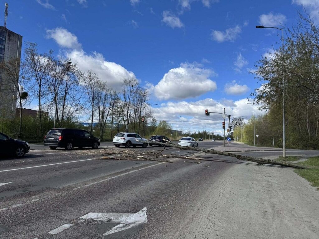 У Львові через сильний вітер повалені дерева - 1