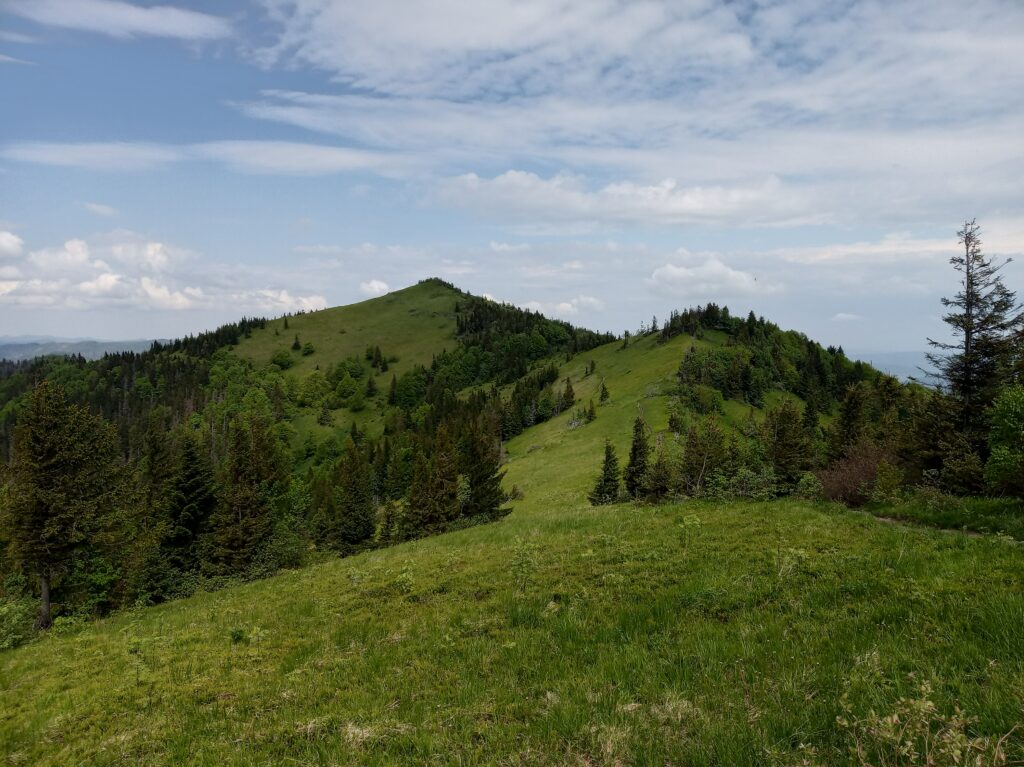 Піші маршрути Львівщини: легкі прогулянки, джерела води та вершини - 4