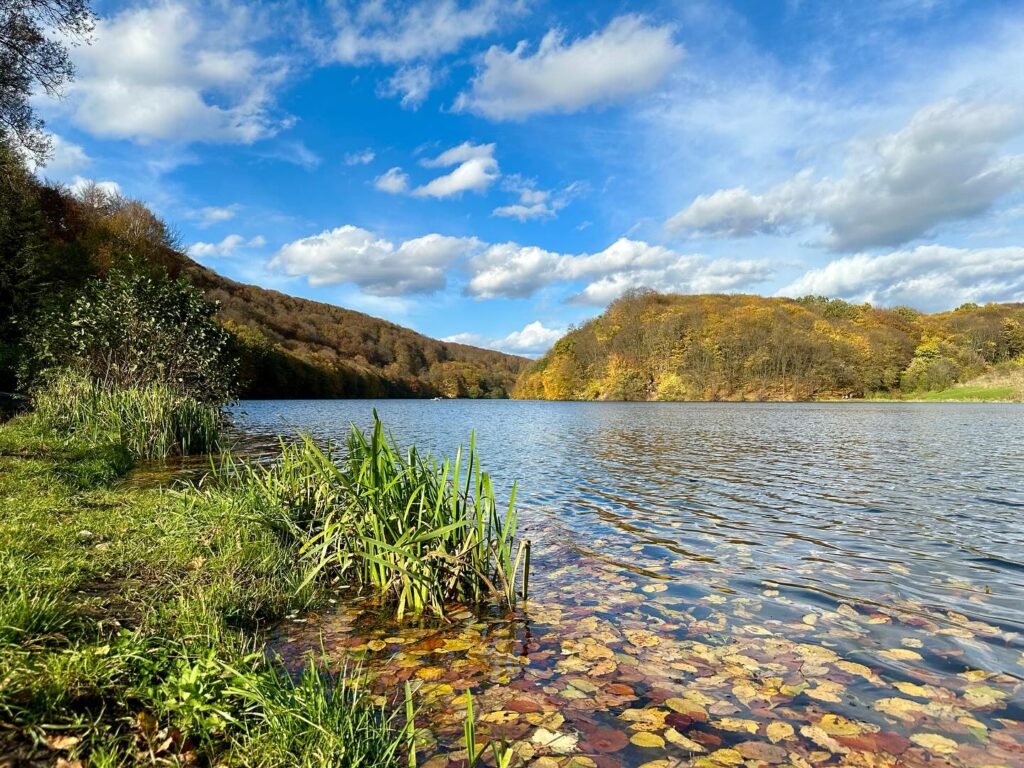 Обмін полоненими, ситуація з Сокільниками та аеропортом, туристична Львівщина: головні новини дня - 7