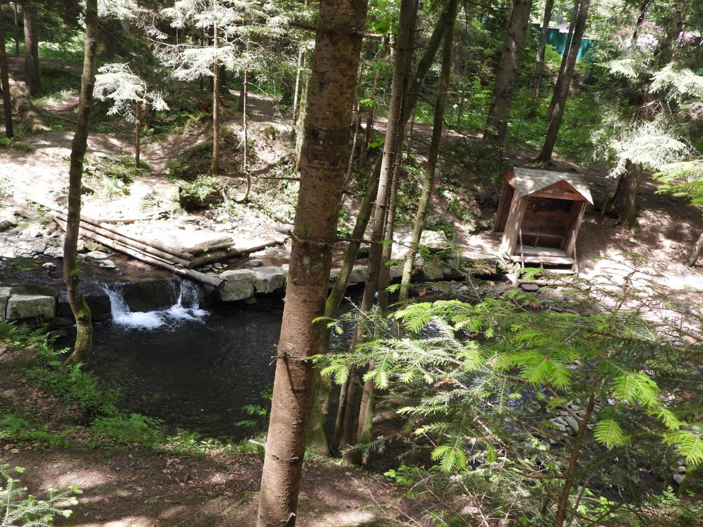 Піші маршрути Львівщини: легкі прогулянки, джерела води та вершини - 7