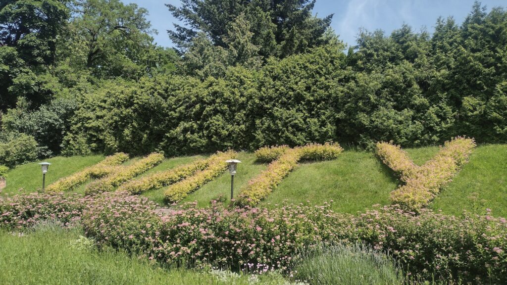 Де побачити магнолії, сакури й екзотичні рослини: ботанічні сади та дендропарки Львівщини - 2