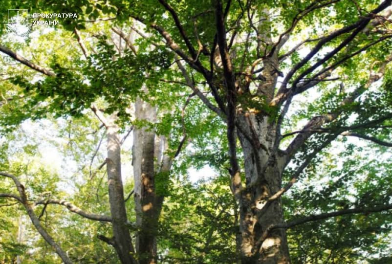 673463442_1374667751361506_8320173140868668339_n