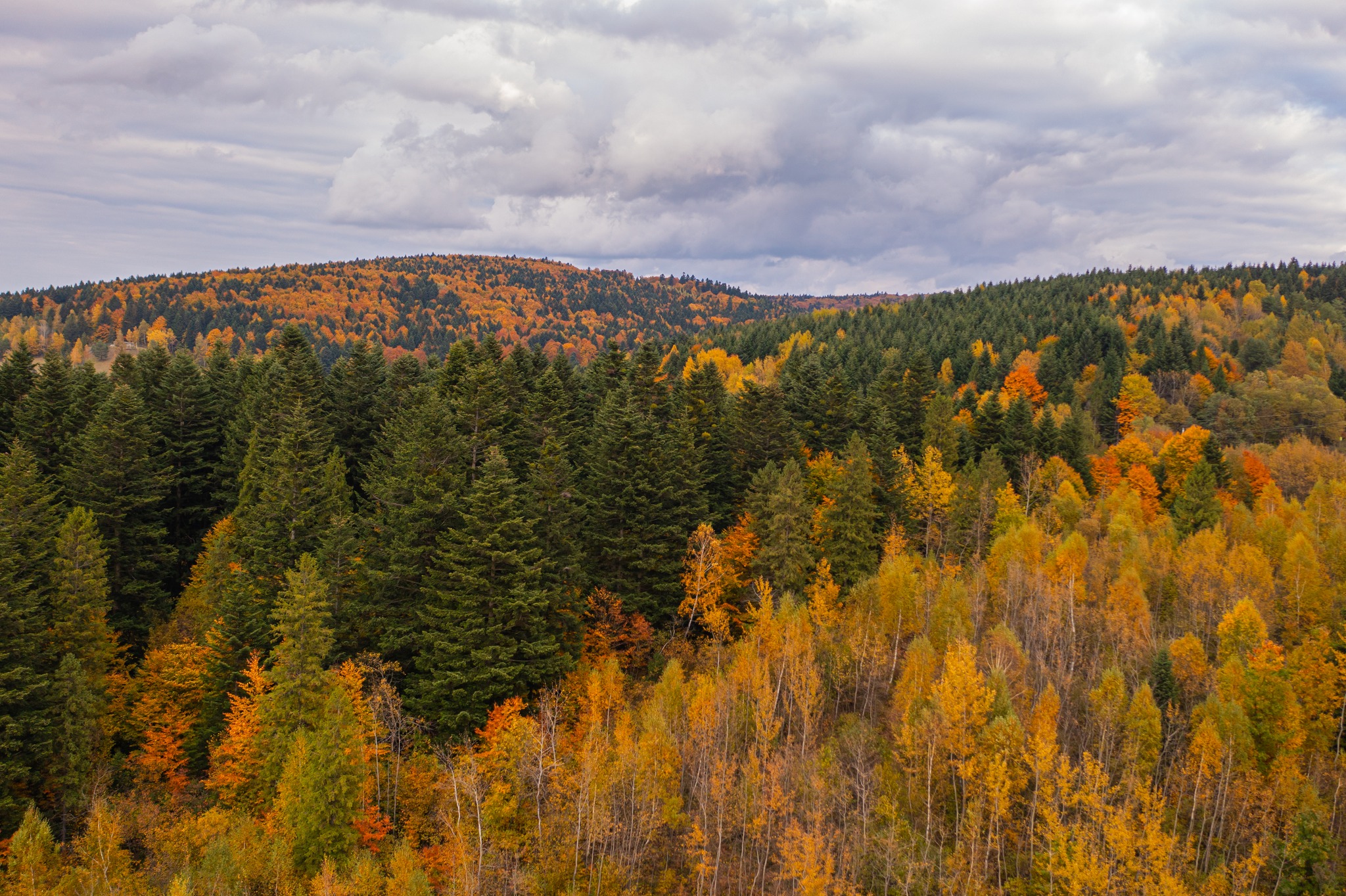 Від нафти до курорту: чим приваблює туристів Східниця - 4