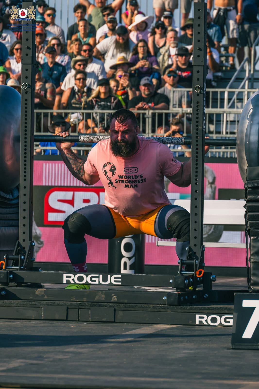 684043197_1291438763113462_1842138162512750720_n