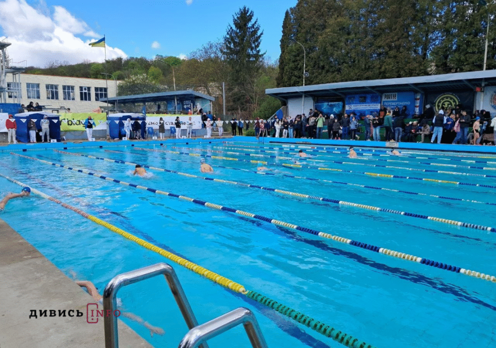 чемпіонат з плавання
