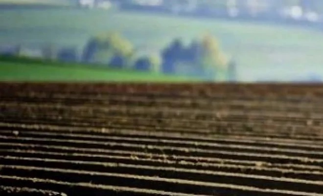 Безымянный