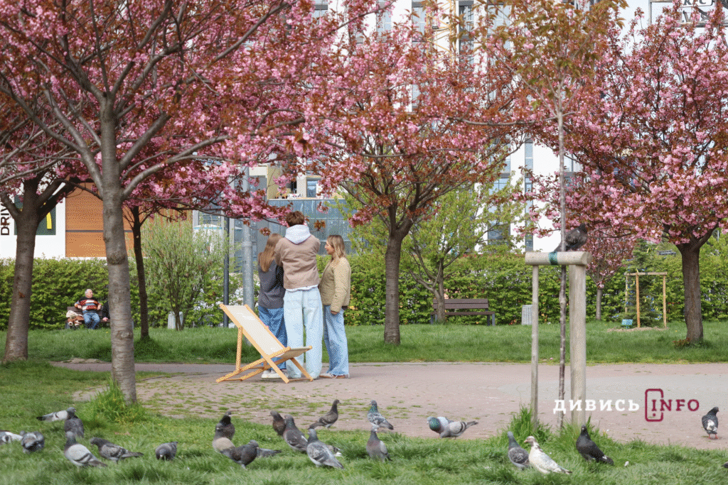 Де у Львові побачити, як квітнуть сакури: світлини з квіткових локацій - 14