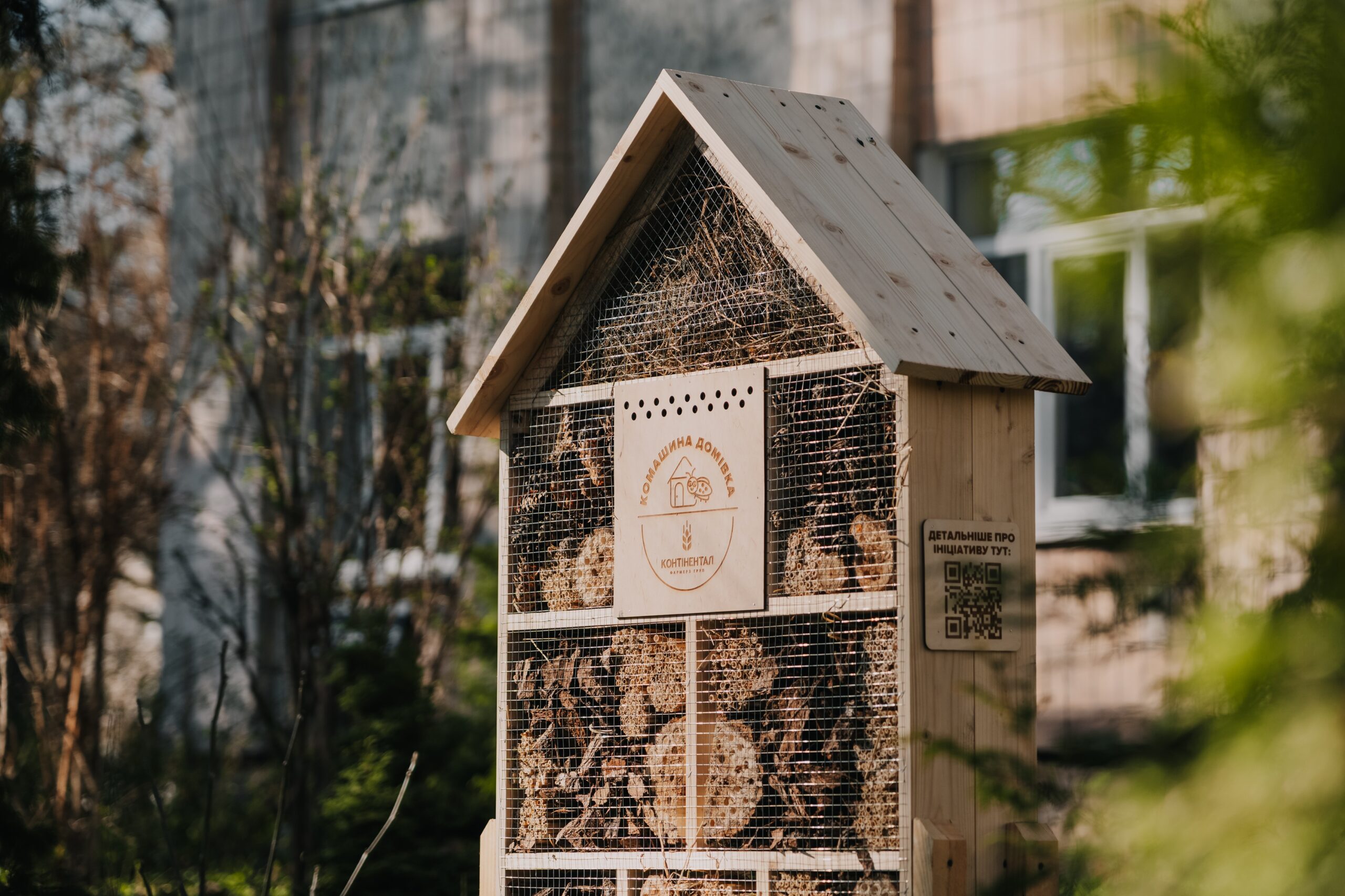 Комашина_домівка_CFG