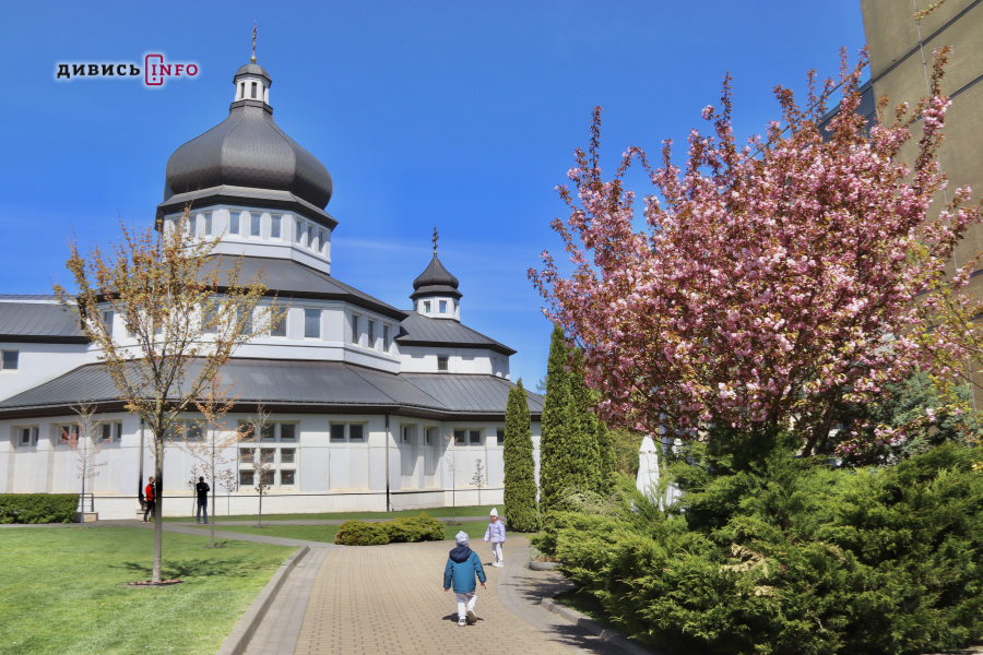 Де у Львові побачити, як квітнуть сакури: світлини з квіткових локацій - 27