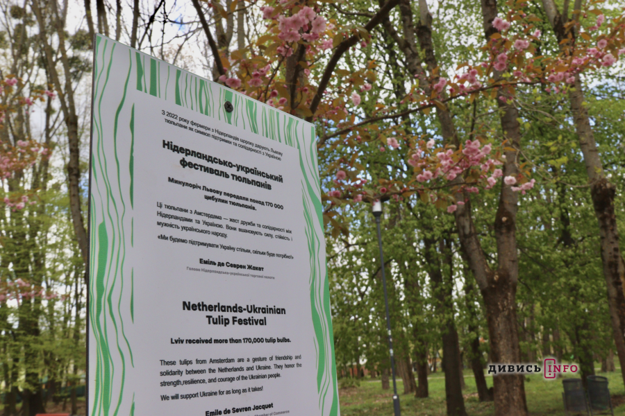 Де у Львові побачити, як квітнуть сакури: світлини з квіткових локацій - 38