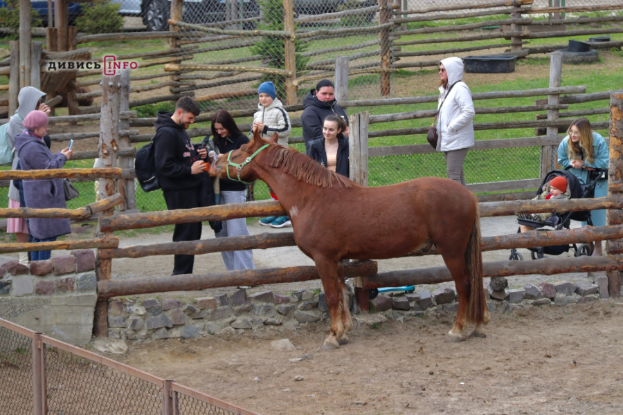 Як у Шевченківському гаю у Львові святкували Великдень (фото/відео) - 8