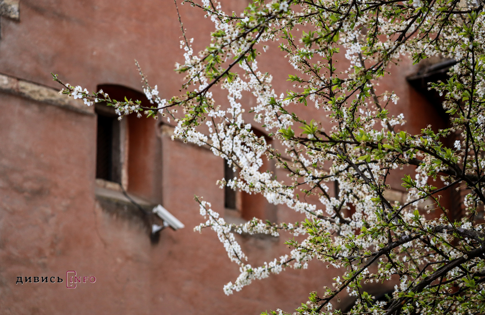 31,3°C морозу в березні: які температурні рекорди фіксували на Львівщині і чому весна така мінлива - 4