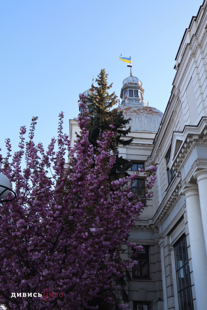 Де у Львові побачити, як квітнуть сакури: світлини з квіткових локацій - 20