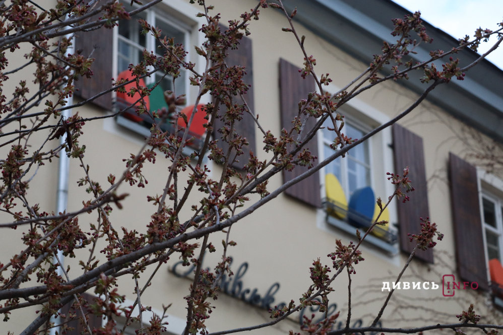 Яким є Львів напередодні Великодня цього року (фото, відео) - 12