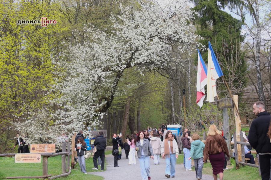 Не лише площа Ринок: як Львів розширює туризм і співпрацює з областю - 4